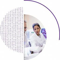 画像調査サービス